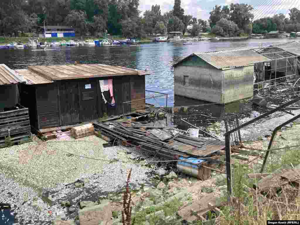 Do pomora ribe došlo je u blizini mesta gde se reka Topčiderka uliva u Savu. Izveštaji medija prethodnih godina ukazuju da je beogradska reka Topčiderka veoma zagađena. 