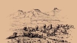 Великий Памир: долгая дорога домой