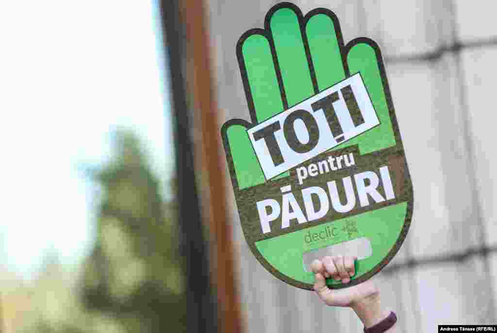 În prezent, există o discordanţă majoră între gradul actual de acoperire al teritoriului ţării cu păduri (29%) şi procentul optim de împădurire (40%) stabilit prin Strategia Națională pentru Dezvoltare Durabilă din anul 1999.