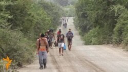 Унгарија ќе ја оградува границата, Србија шокирана