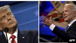 Коллаж: дебаты Дональд Трамп – Джо Байден