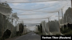 Противодроновые сетки над дорогой вблизи Константиновки, Донецкая область, август 2025 года