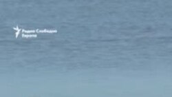 Уникатните касписки фоки исчезнуваат