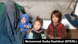 Bibi Gul, the widow of a slain Afghan policeman, has turned to begging to survive. 