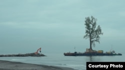 ფოტო ასახავს აჭარის სოფლებიდან მრავალწლოვანი ხეების გადატანის პროცესს და ტრანსპორტირების ფორმას.