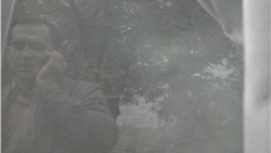 Audio | Momentul în care Ciprian Șerban se înțelege cu un silvicultor privind procentul mitei