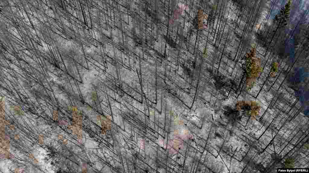 Pogled odozgo na uštetu uzrokovanu požarima