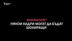 Десетки хиляди умират от глад в Йемен