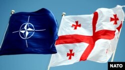 ნატოს და საქართველოს დროშები