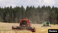 Руралните и аграрните бизниси недоволно ги користат ИПАРД средствата 