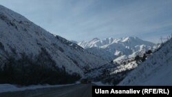 Иллюстративное фото.