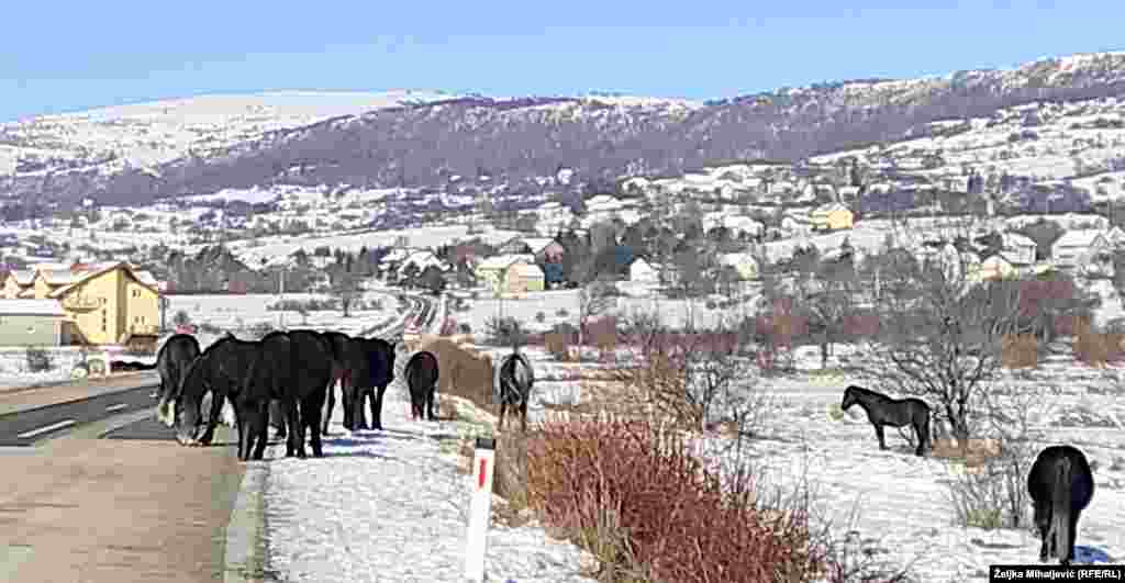 Prolaznici se zaustavljaju kako bi fotografijom zabilježili jedinstvene prizore s livanjskih planina.