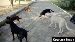 Иллюстративное фото