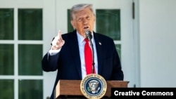 Доналд Трамп ҳангоми сафараш ба кишварҳои осиёӣ ба баёнияи Путин вокуниш нишон дод.