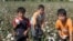 Өзбекстанның мақта алқабындағы балалар еңбегі. 3 қазан 2009