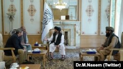 თალიბანის სპიკერის თანახმად, მხარეებმა განიხილეს „ორივე ქვეყანასთან დაკავშირებული საკითხები, რეგიონული უსაფრთხოება და სიტუაცია ავღანეთში“.