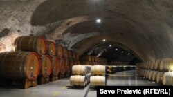 Kompanija "13. Jul Plantaže" posjeduje jedan od najvećih vinograda u Evropi površine 2.310 hektara 