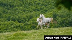 Stanovnici Brusa se uglavnom bave poljoprivredom i stočarstvom.