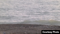 Черное море, Имеретинская низменность