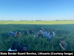 Migrants apprehended in Lithuanian farmland on June 19.