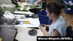 Ilustrativna fotografija