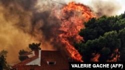 илустрација