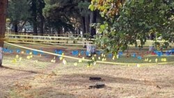 გორში 14 წლის წინ გაუჩინარებული ბიჭის სამარხის ძებნა არქეოლოგთან კონსულტაციით მიმდინარეობს