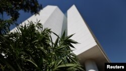 Biljka kanabisa pored zgrade meksičkog Senata u protestnom vrtu kanabisa Meksičkog pokreta Cannabico u Mexico Cityju, Meksiko, 19. novembra 2020. 