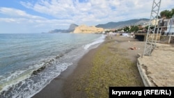 Пляж, усеянный водорослями. Судак. Июнь 2025 года.