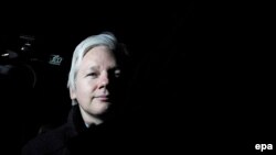 Jullian Assange, arhivska fotografija 