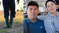 Кыргызстанцы поехали на сезонную работу в Европу и пожалели