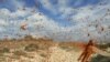 Locust Invasion Worsens Food Woes