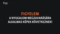 "Legyet esznek és kartonpapírt" - súlyos aszály Kazahsztánban