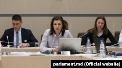 Cristina Țărnă, la dezbaterile din parlament