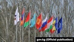 Флаги ЕАЭС и стран-участниц организации.