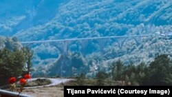 Most na Đurđevića Tari