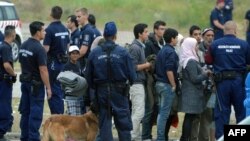 Asylum seekers wait to board a bus near the Hungarian-Serbian border last year. (file photo)