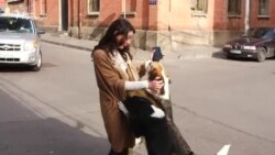 მარტო დარჩენილი ცხოველებისთვის