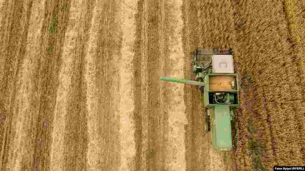 Korrja e grurit në Prishtinë.&nbsp;