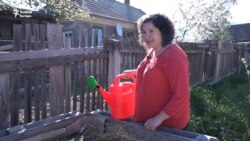 Vegyszerek helyett kacsák: egy alternatív kiskert, ahol minden megterem