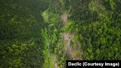 Pentru amenajarea hidrocentralei este necesară defrișarea a peste 30 de hectare de pădure.