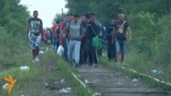 Апели за помош на Македонија и Грција за мигрантите