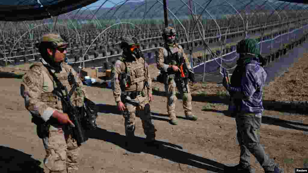 Az egyik helyi televízióállomás arról számolt be, hogy a tüntetéseket megelőzően mintegy száz mezőgazdasági dolgozót vettek őrizetbe a bevándorlási akció során