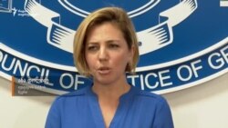 ანა დოლიძე თაროზე შემოდებული საქმის შესახებ