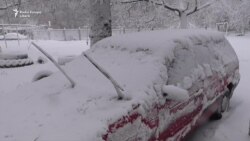 Снегопады левого берега