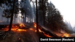 Пожари во Јужна Калифорнија