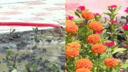 Как готовятся к визиту президента: чинят дороги, красят гаражи, сажают цветы