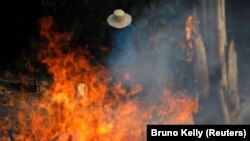 Požari u prašumi Amazona