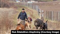Egy korábbbi séta a Noé Állatotthonban.