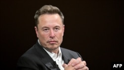 Ilan Mask, preduzetnik